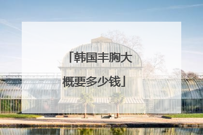 韩国丰胸大概要多少钱