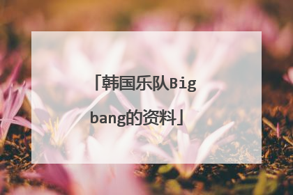 韩国乐队Bigbang的资料