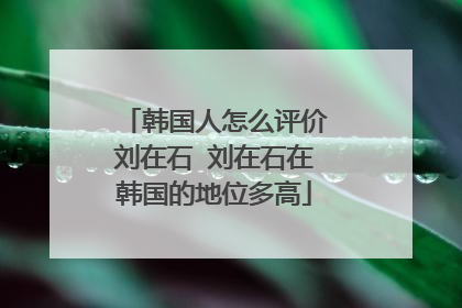 韩国人怎么评价刘在石 刘在石在韩国的地位多高