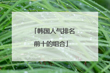 韩国人气排名前十的组合