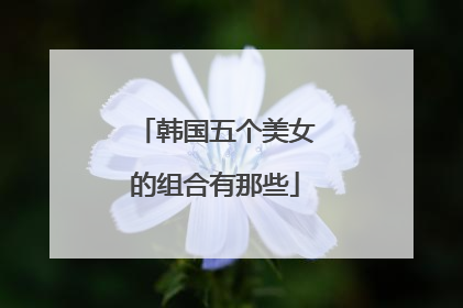 韩国五个美女的组合有那些