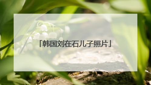 韩国刘在石儿子照片