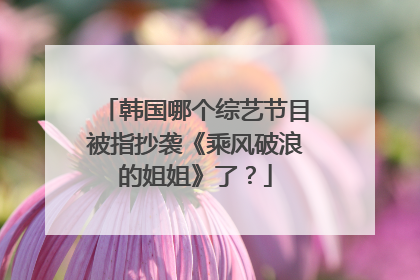 韩国哪个综艺节目被指抄袭《乘风破浪的姐姐》了?