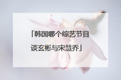 韩国哪个综艺节目谈玄彬与宋慧乔