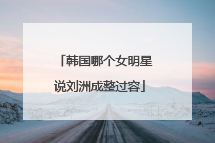 韩国哪个女明星说刘洲成整过容