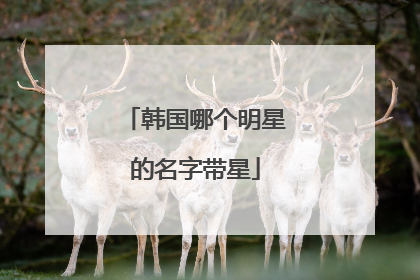 韩国哪个明星的名字带星