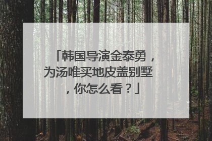 韩国导演金泰勇,为汤唯买地皮盖别墅,你怎么看?