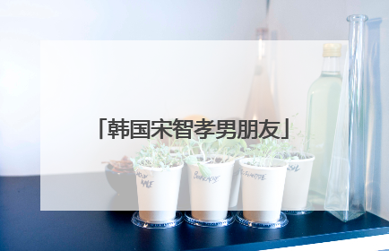 韩国宋智孝男朋友