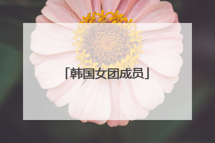 韩国女团成员