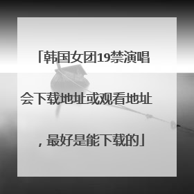 韩国女团19禁演唱会下载地址或观看地址,最好是能下载的