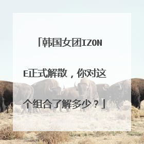 韩国女团IZONE正式解散,你对这个组合了解多少?