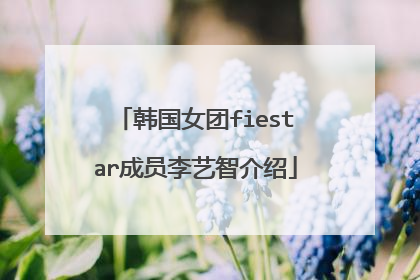 韩国女团fiestar成员李艺智介绍