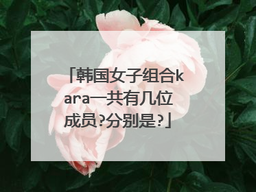 韩国女子组合kara一共有几位成员?分别是?