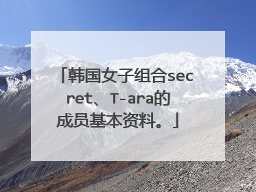 韩国女子组合secret、T-ara的成员基本资料。
