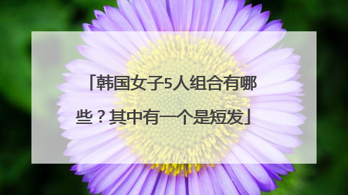 韩国女子5人组合有哪些？其中有一个是短发