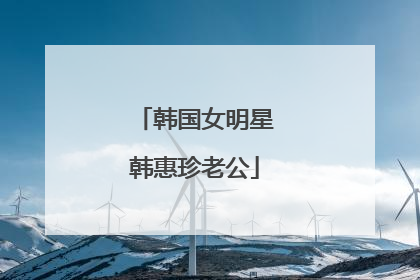 韩国女明星韩惠珍老公