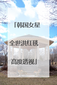 韩国女星全世洪红毯高度透视
