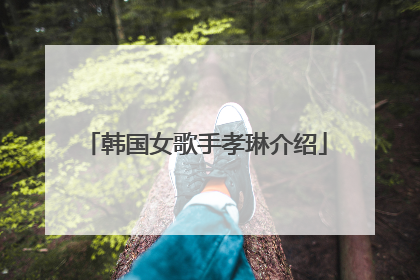 韩国女歌手孝琳介绍