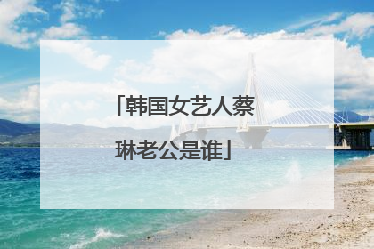 韩国女艺人蔡琳老公是谁