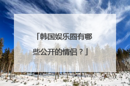 韩国娱乐圈有哪些公开的情侣?