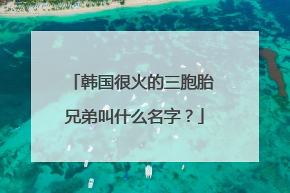 韩国很火的三胞胎兄弟叫什么名字？