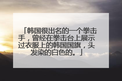 韩国很出名的一个拳击手，曾经在拳击台上展示过衣服上的韩国国旗，头发染的白色的。