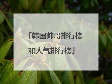 韩国帅哥排行榜和人气排行榜