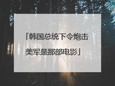 韩国总统下令炮击美军是那部电影