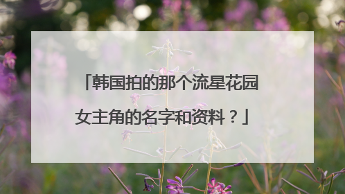 韩国拍的那个流星花园女主角的名字和资料?