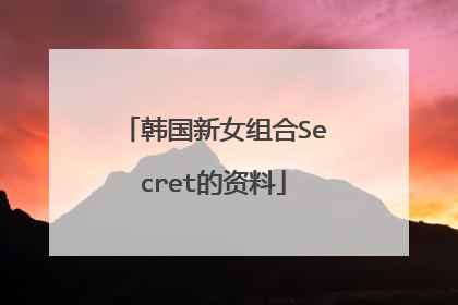 韩国新女组合Secret的资料