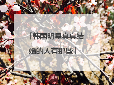 韩国明星真真结婚的人有那些