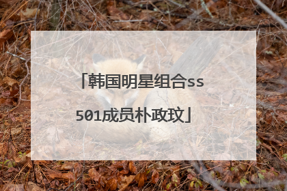 韩国明星组合ss501成员朴政玟