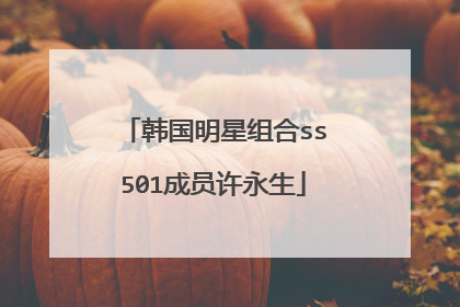 韩国明星组合ss501成员许永生