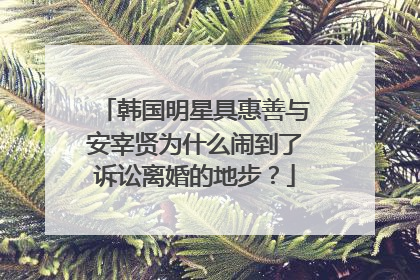 韩国明星具惠善与安宰贤为什么闹到了诉讼离婚的地步?