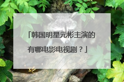 韩国明星元彬主演的有哪电影电视剧?