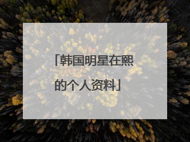 韩国明星在熙的个人资料