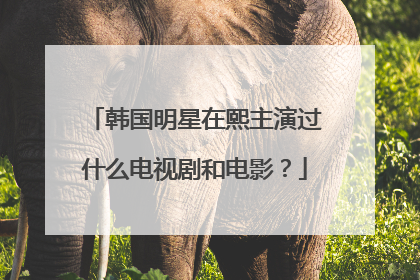 韩国明星在熙主演过什么电视剧和电影？