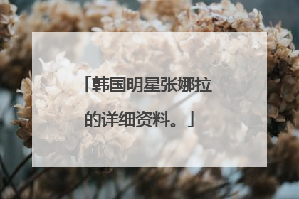 韩国明星张娜拉的详细资料。