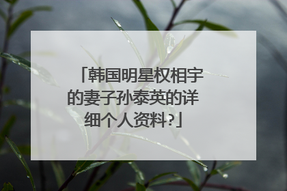 韩国明星权相宇的妻子孙泰英的详细个人资料?