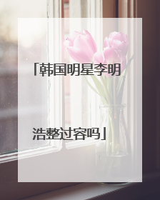 韩国明星李明浩整过容吗