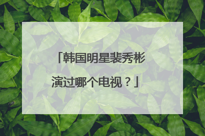 韩国明星裴秀彬演过哪个电视？