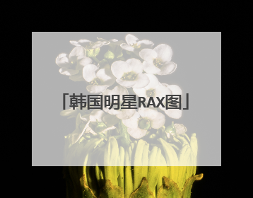 韩国明星RAX图