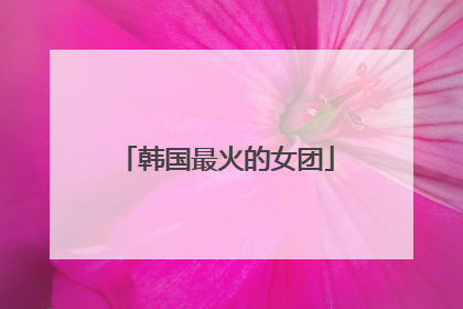 韩国最火的女团