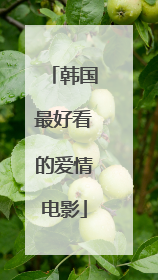 韩国最好看的爱情电影