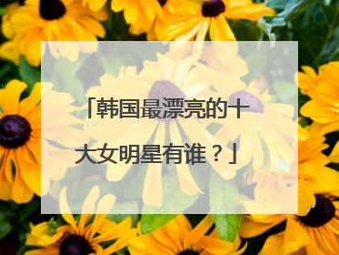 韩国最漂亮的十大女明星有谁？