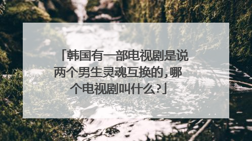 韩国有一部电视剧是说两个男生灵魂互换的,哪个电视剧叫什么?