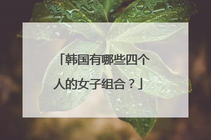 韩国有哪些四个人的女子组合？