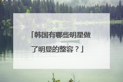 韩国有哪些明星做了明显的整容?