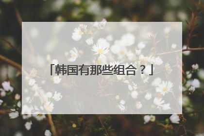 韩国有那些组合？