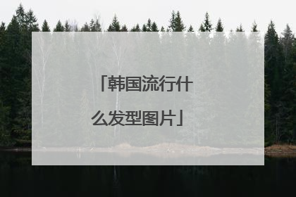 韩国流行什么发型图片
